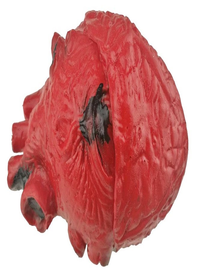 Unigift Bloody Scary Fake Human Brain Horrible Heart Organ for Trick Toys Halloween Props Festival Decoration Haunted House - Image 3